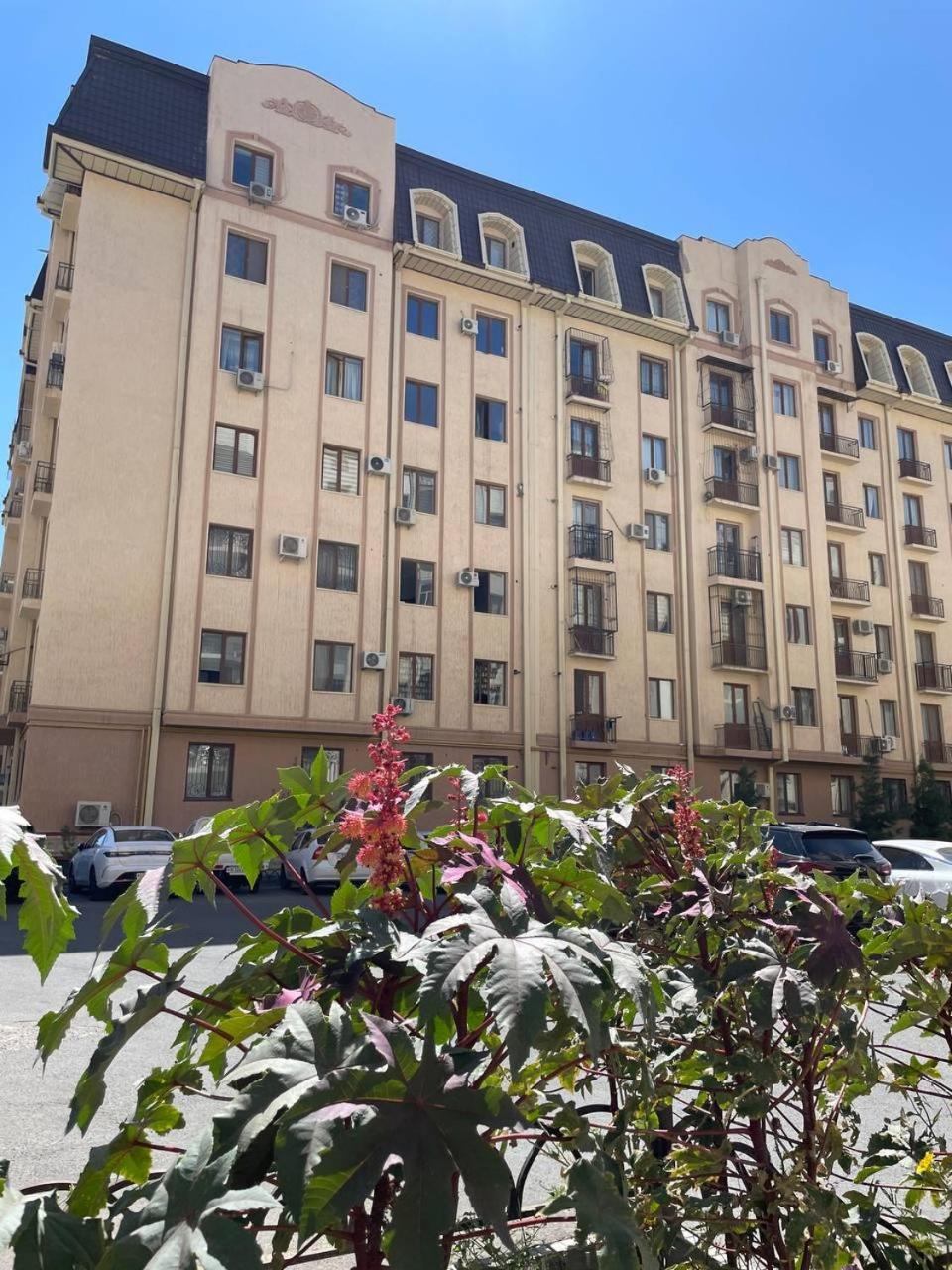 Bukhara'S Heart Apartment Ngoại thất bức ảnh